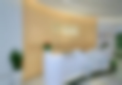 艾哈迈德·法维兹