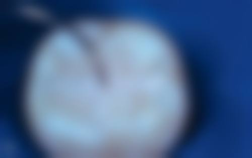 多项目服务全方面发展