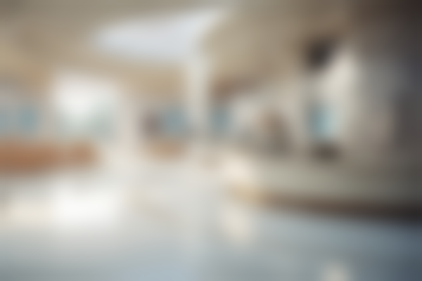 六、东莞市松山湖中 心医院（总院）整形美容科收费价格表