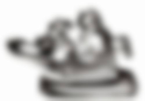 应急之策：缓解补牙后牙疼的临时方法