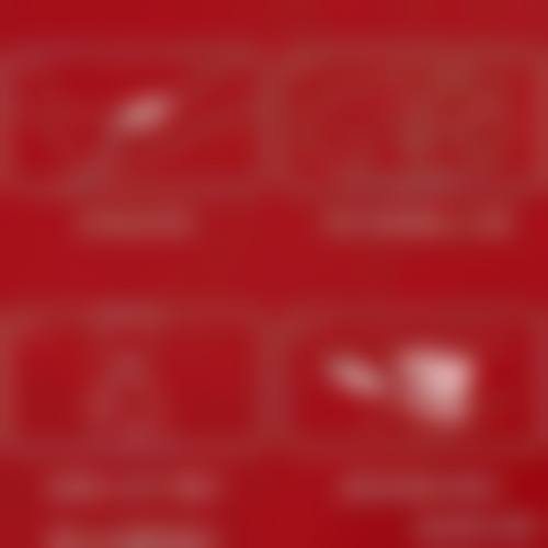 五、刘向文医生简介