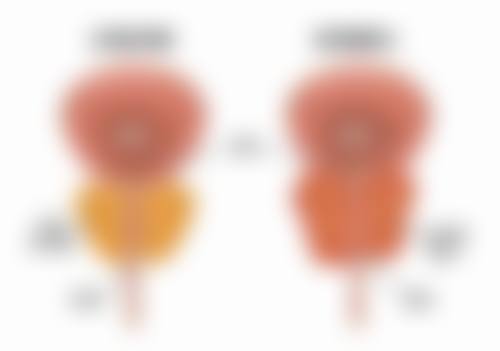 八、成都天美医疗美容医院预约挂号方式及流程