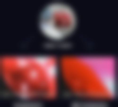 白馨月院长荣誉资质