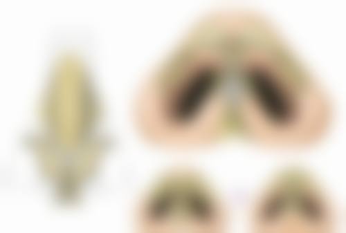 五、吉林市侯氏整形医院收费价格表