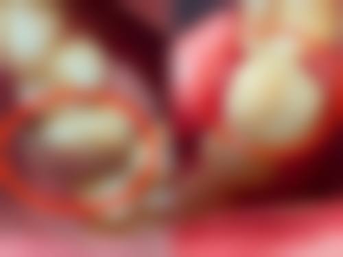 整形项目分类价目表