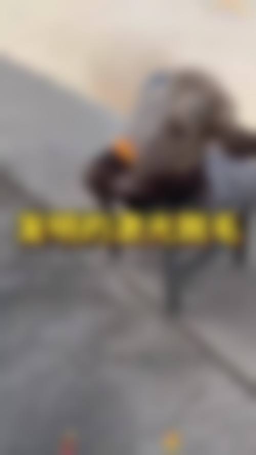 二、重庆天妃整形美容医院是正规医院吗?