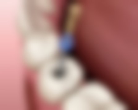 美观与耐用：谁能兼顾容貌与长久陪伴？