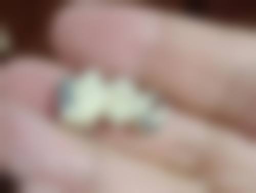 分院地址与营业时间