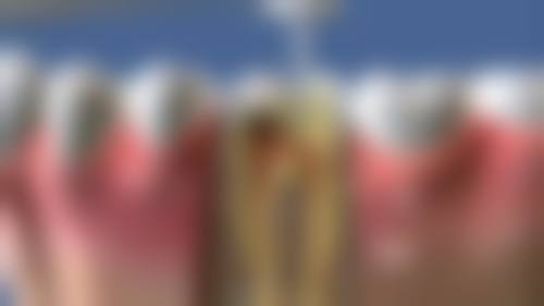 项目价格与优势