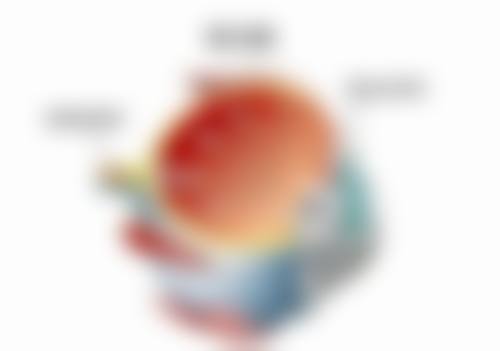 陈文辉医生擅长项目