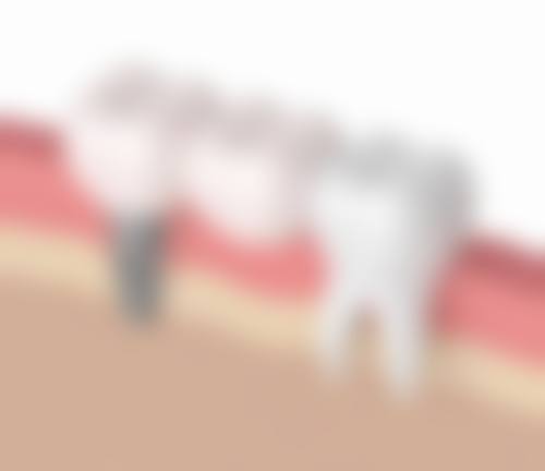 热门项目价格深度拆解