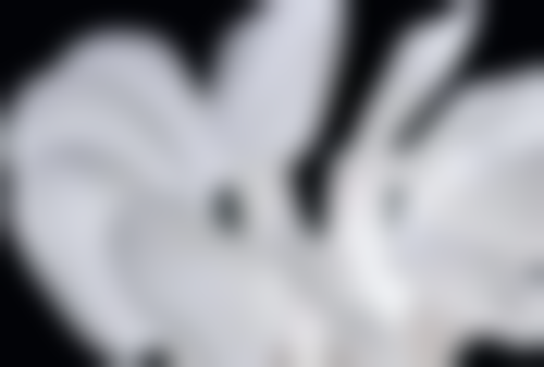 口腔卫生习惯,延长补牙使用寿命