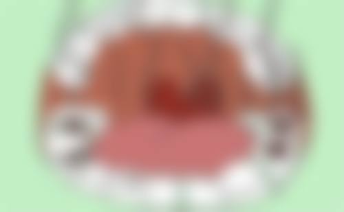 热门项目价格深度拆解