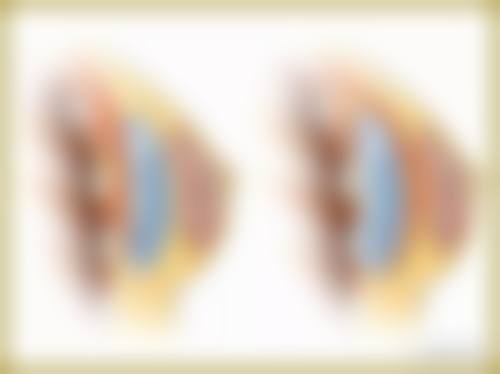 二、韩国赖布利LIVELY整形外科医院是正规医院吗？