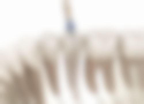 上海同济医院口腔科专家门诊，根管正畸找谁？｜赵立群甄蕾坐诊，三甲医保定点