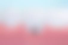 牙科项目价格参考