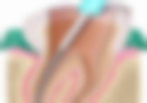 整形项目分类价目表