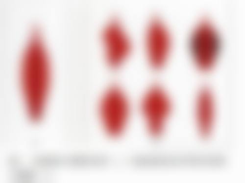 五、深圳非凡医疗整形美容医院医生简介