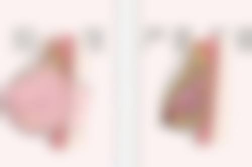 二、三亚瑞希整形医院是正规医院吗？