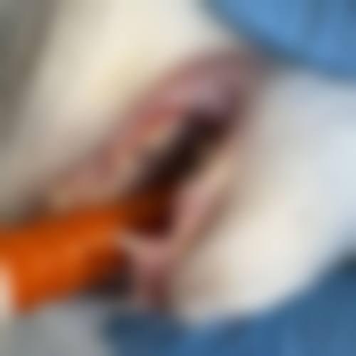 鄂州中山口腔医院情况