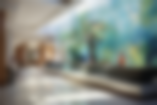 厦门碧莲盛植发