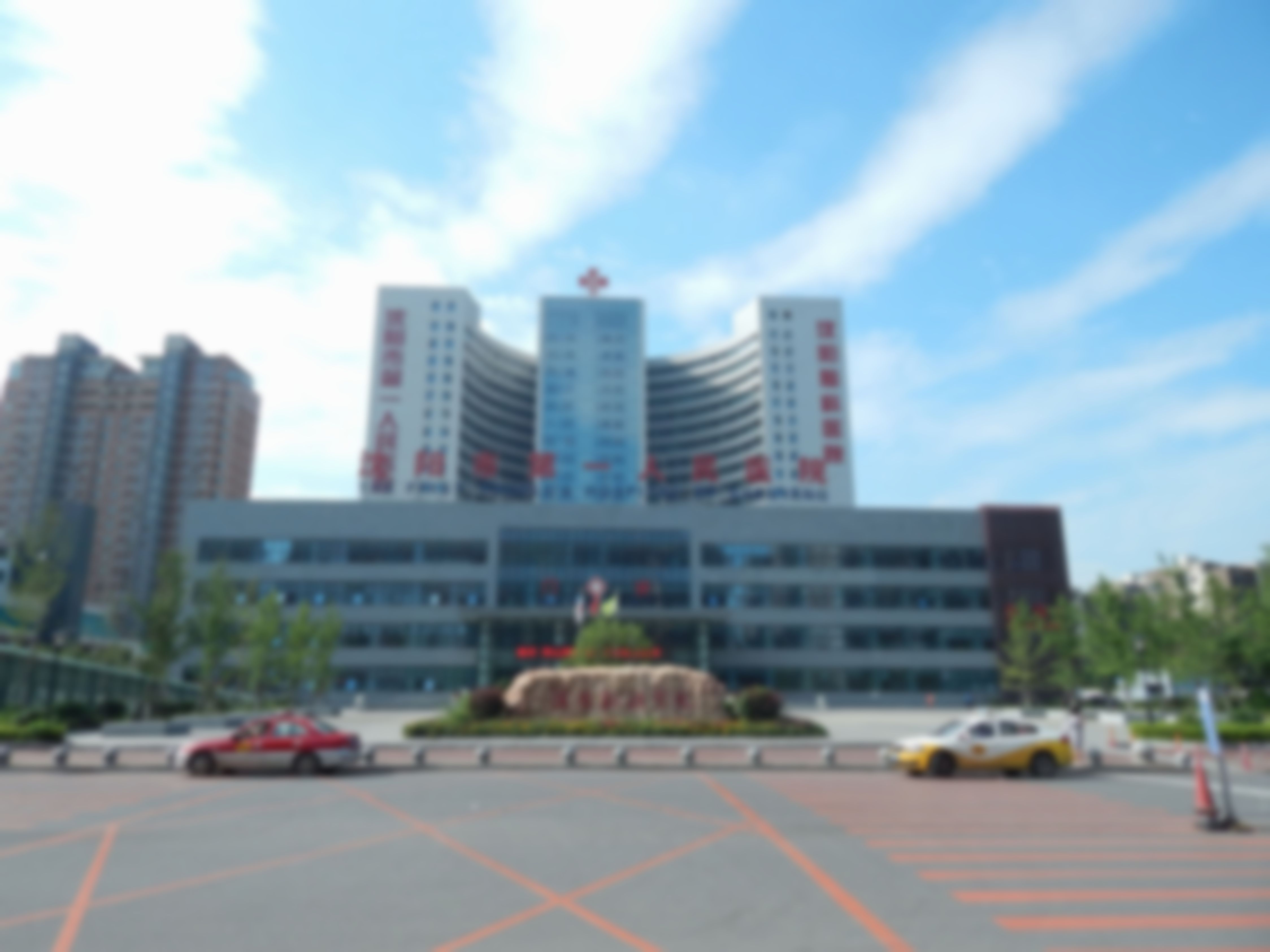 六、沈阳市第一人民医院整形科收费价格表