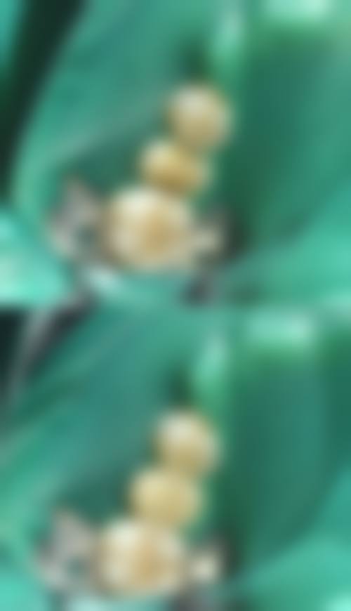 {晋城百年口腔门诊部怎么样？资质正规、技术先进，种植牙2580元起，口碑超赞！ 