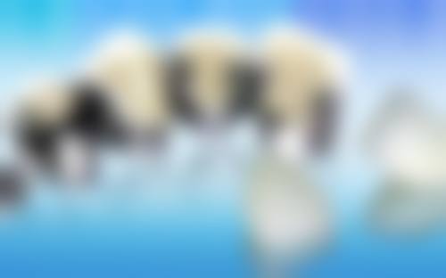 赣州金赣口腔基本情况