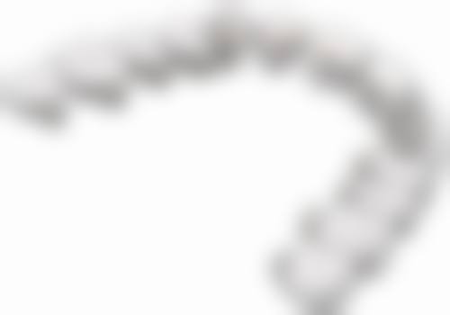 王爱华医生：成人复杂矫正骨干医生