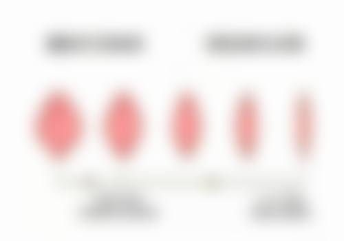 二、石家庄爱拉娜整形医院是正规医院吗