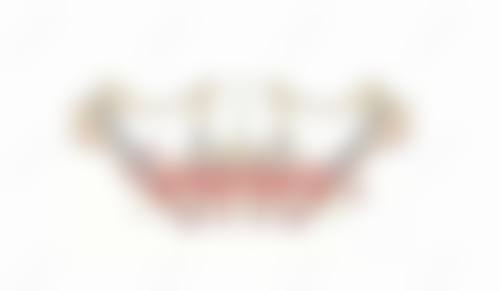 植得口腔医生团队情况