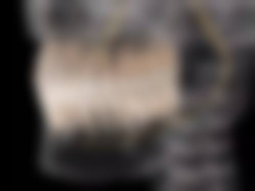 贴心的服务体验