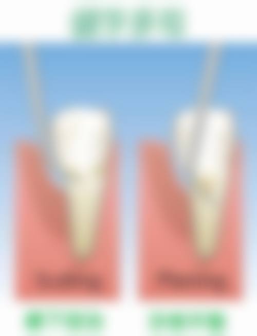 二、南华附一、附二,谁是综合实力之王?