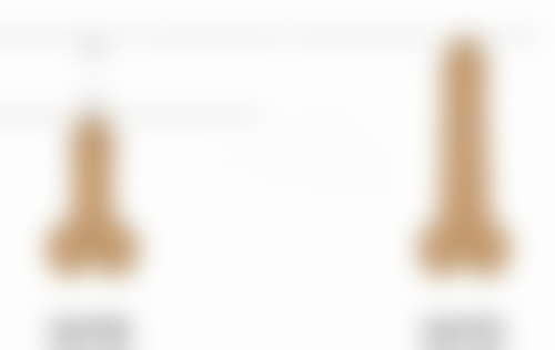 盛十中医生价格表