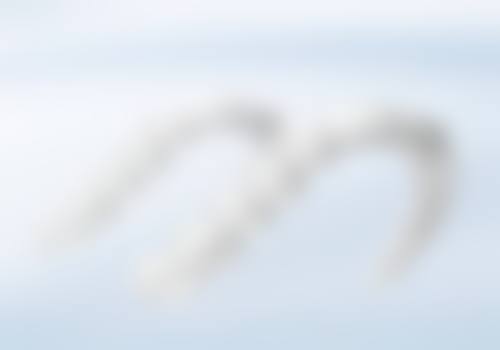 [XX口腔医院]的收费价格与预约：清晰透明，方便快捷