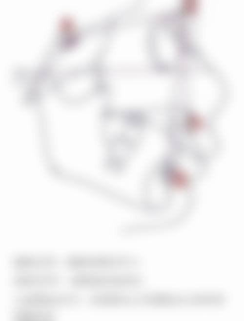 {东莞舌侧矫正医生24小时在线咨询，王主任/张慧芳等技术靠谱的正畸医师在线答疑