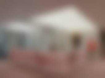 马秀芬医生执医荣誉与资质