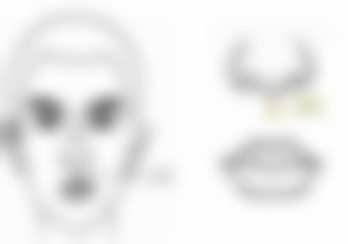 🌟 顾客口碑评价