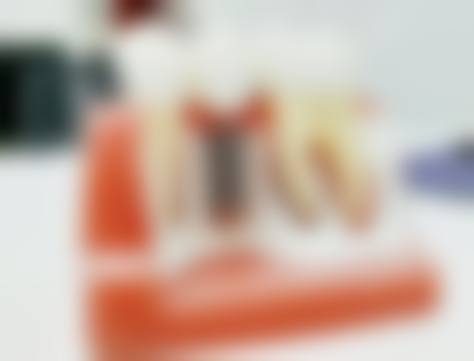 四、拜博、美奥、瑞尔的核心技术特色有哪些优势？