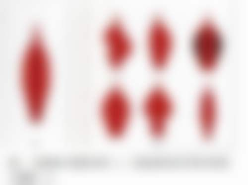 郑州张朝蕾医疗美容医院地址电话营业时间