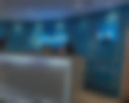 廖永辉技术优势