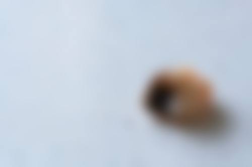 自己补牙可能带来的不理想成效