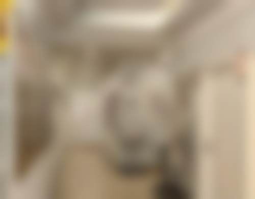 杭州健丽（去眼袋）医疗美容诊所医院开展项目范围