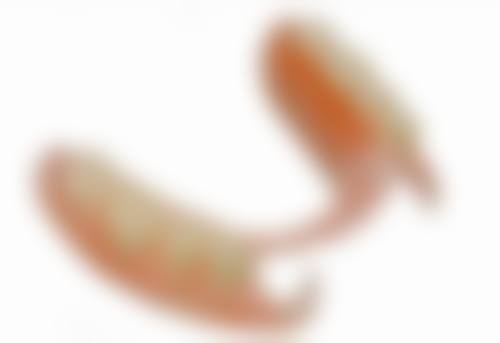 四、如何选择靠谱的大庆儿童齿科医生在线询问24小时服务