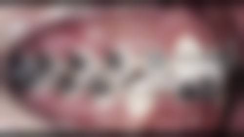 骨干医生团队与教学成果