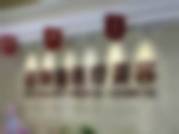 桑金玲医生执医荣誉与资质