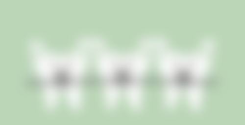 二、全口点种价格及优势