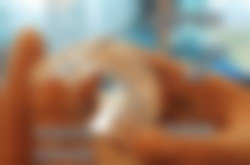 虎门好佰年口腔：种植修复，快速效率高