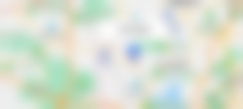 罗奇