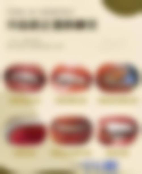 李荣鋆擅长项目